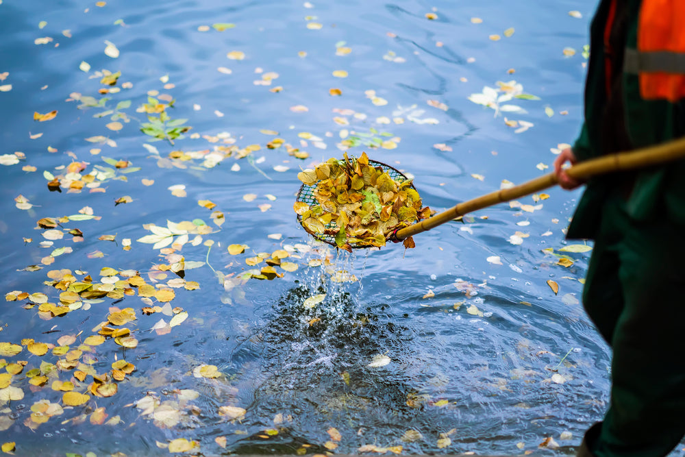 Pond Rake